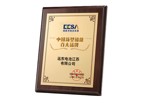 中国新型储能百大品牌